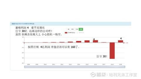 大傻瓜做价值投资 一一零 互联网公司其实没有泡沫化